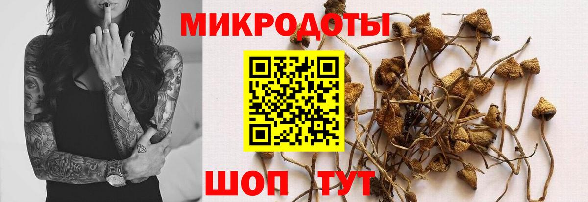 Псилоцибиновые грибы GOLDEN TEACHER  Вход с VPN  Кандалакша 